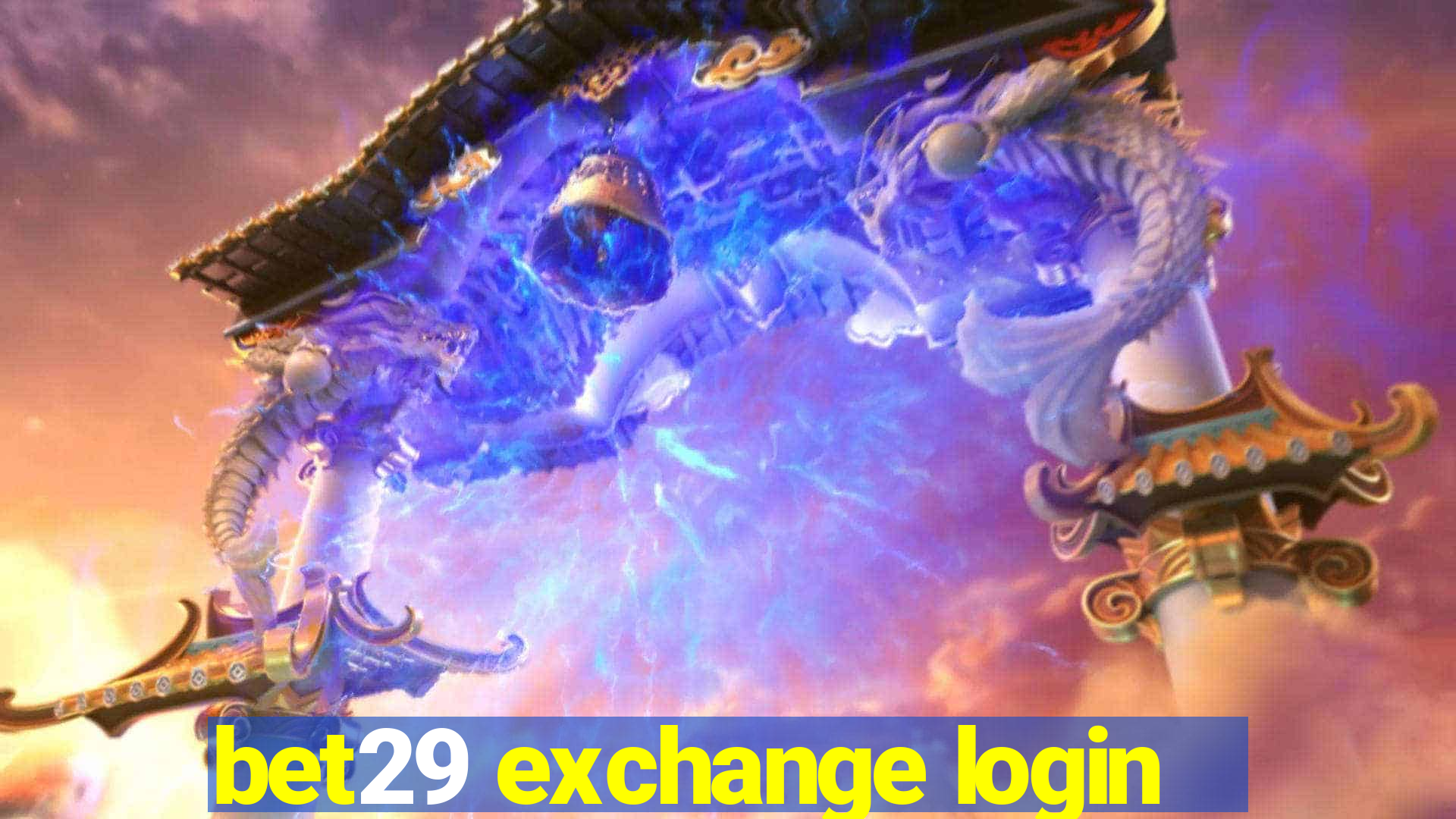 bet29 exchange login